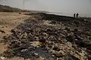 آلودگی نفتی در ساحل جزیره خارگ