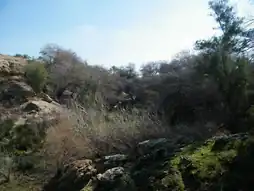 آبشار زیرراه