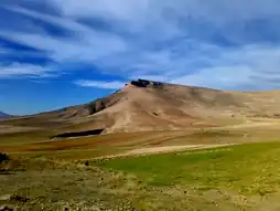 برده‌زرد