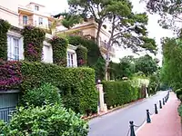 نمایی از یکی از خیابان‌های مونت‌کارلو