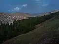 گنبر چایی