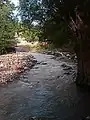گنبر چایی