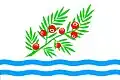پرچم تشیسوویتسه