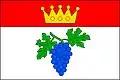 پرچم تشوتشیتسه