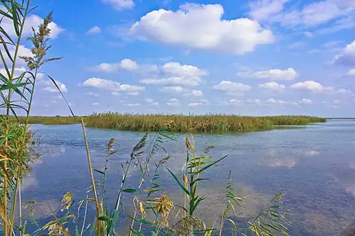 شروان، ششمین