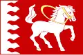 پرچم ژدیرتس (ناحیه ییهلاوا)