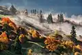 نگاره‌ای از مِه صبحگاهی پائیزی در تپه‌های مُشرِف به شهر راخیف، اوکراین