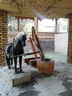 منطقه معماری بومی باغ‌های گیاه‌شناسی