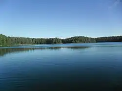 Lake Chistik، a protected area of Russia in Demidovsky District