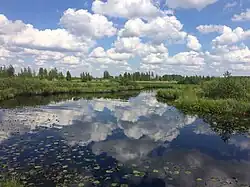 Polistovsky Nature Reserve، Loknyansky District