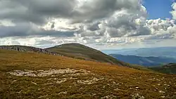 نمایی از شرق