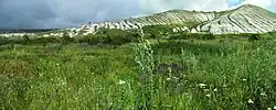Chalk slopes in Belogorye Nature Reserve، Novooskolsky District