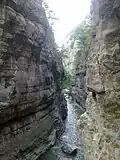 Դուտխու գետի կիրճը