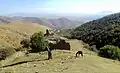 نمایی از صومعه نغوتسی و روستای آرزاکان در پس زمینه