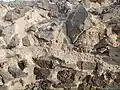 روش ساخت بنا به صورت دیوارچینی با سنگ‌های لاشه و ملات ساروج