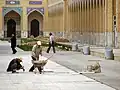 مرمت محوطه خواجه ربیع در چهاردهم خرداد سال 1386