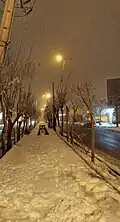 اسفرورین در برف