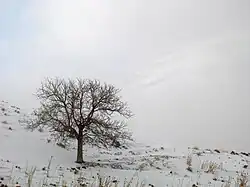 بارش برف در اطراف قم