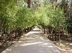 باغ گلشن