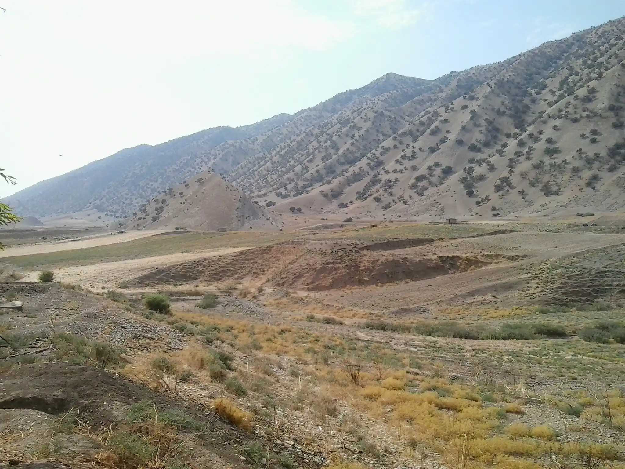 عکاس‌محمدندری