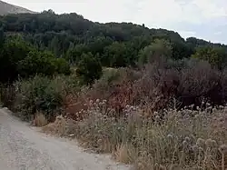 تصویری از طبیعت زیبای روستای دوراهان