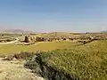 تل علیآباد (بی مور)