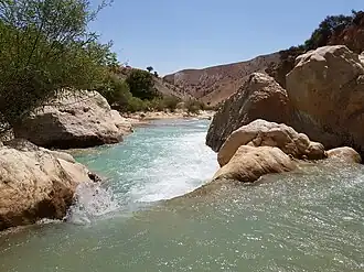 تنگ حسنی پاچر