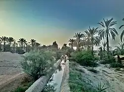 تنگ خور رکنآباد