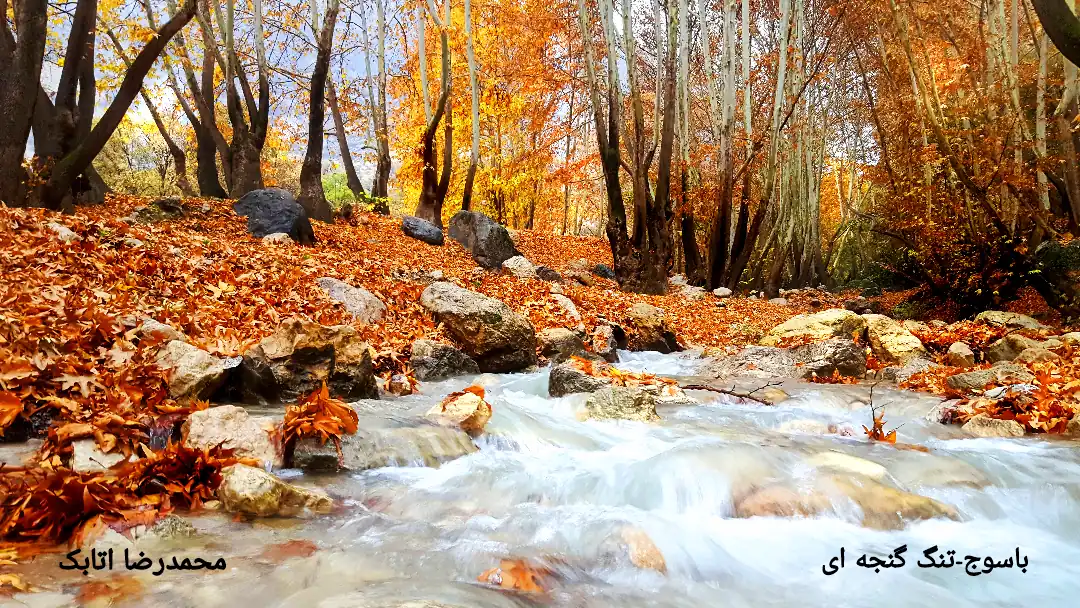 تنگ گنجه ای دره ای با درختان زیبای چنار و رودخانه ای بسیار زیبا