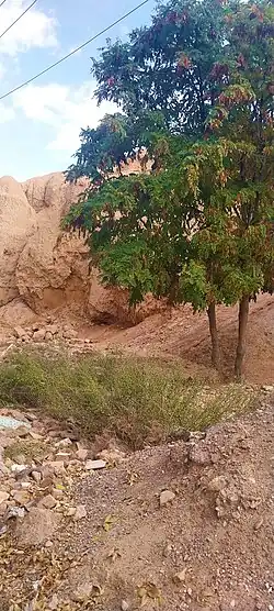 تپه باستانی اسفرورین