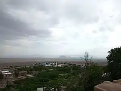 نمایه تیکدر