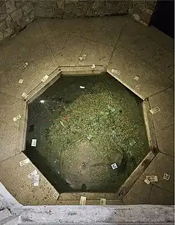 حوض ماهی سعدیه