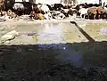 دامداری در روستای کاریزمه، گله گوسفندان در حال استراحت در کنار قنات روستا
