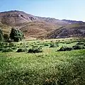 دامنه کوه عبدالرزاق