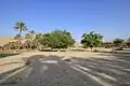 درختان علی آباد