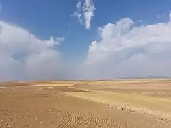 دشت بخش دلبران