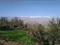 رشنه کوه البرز