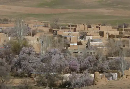 روستای طایقان محلات