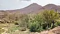 طبیعت زیبای روستا
