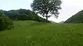 روستای نمنق  ۸
