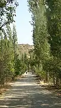 روستای طاهره خاتون