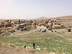 زرد کوهی