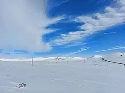 زمستان بخش دلبران