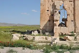 در بهار