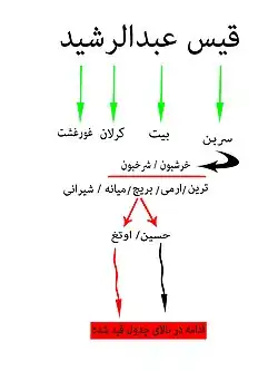 شجره خلاصه نویسی شده طایفه بریچ است شخص اصلی قیس عبدالرشید شامل هزاران طایفه و ریشه درختی می‌باشد