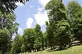 طبیعت برزکوه