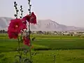 طبیعت زرین شهر