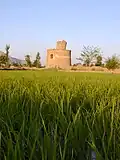 طبیعت زرین شهر