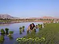 طبیعت زرین شهر