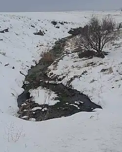 طبیعت زمستانی